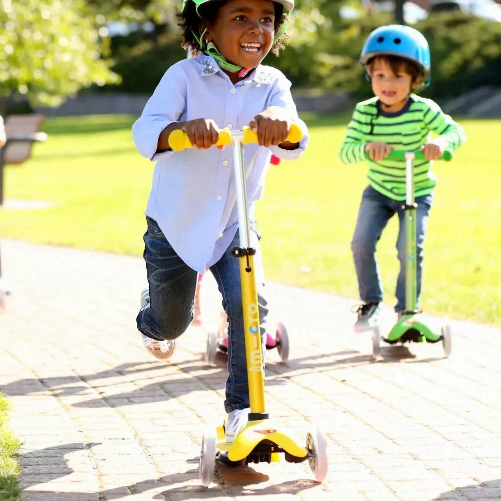 Micro Mini Deluxe Scooter