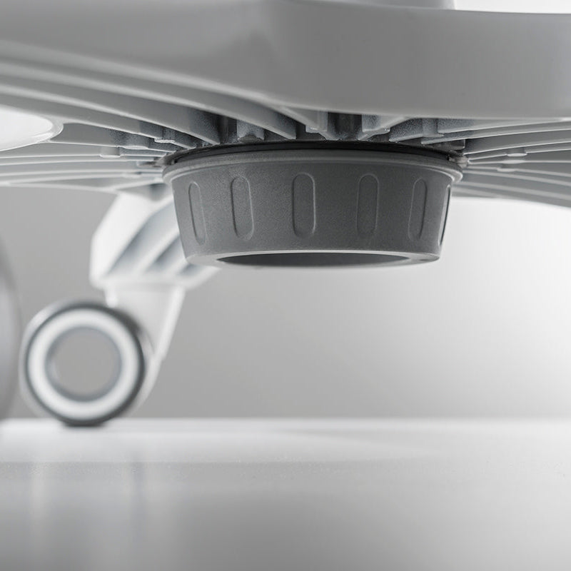 Moll S9 Beige/Dark Brown