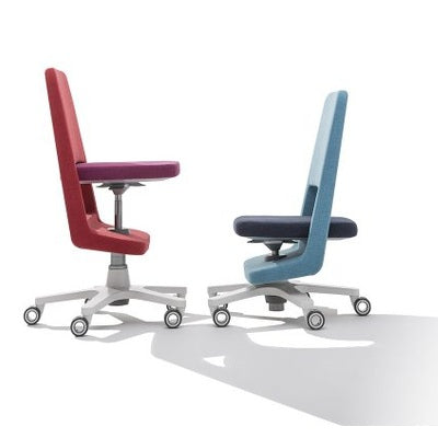 Moll S9 Beige/Dark Brown