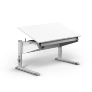 Moll Sprinter Height-Adjustable Desk
