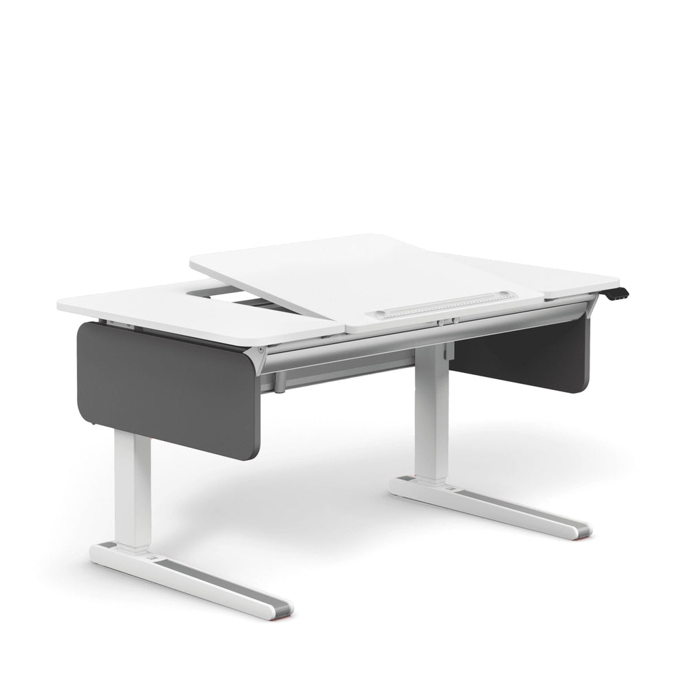 Moll e-Champion Height Adjustable Desk