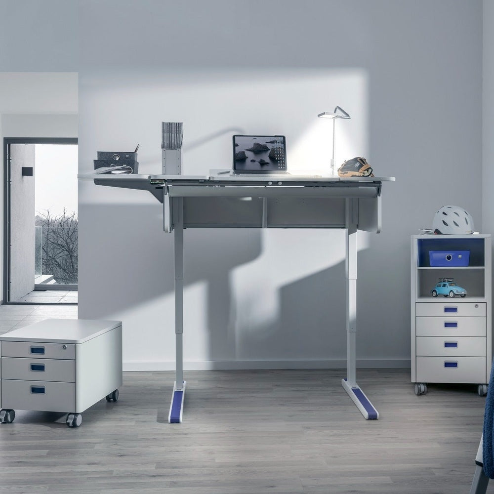 Moll e-Champion height-adjustable desk with electric lift, white top and metal frame