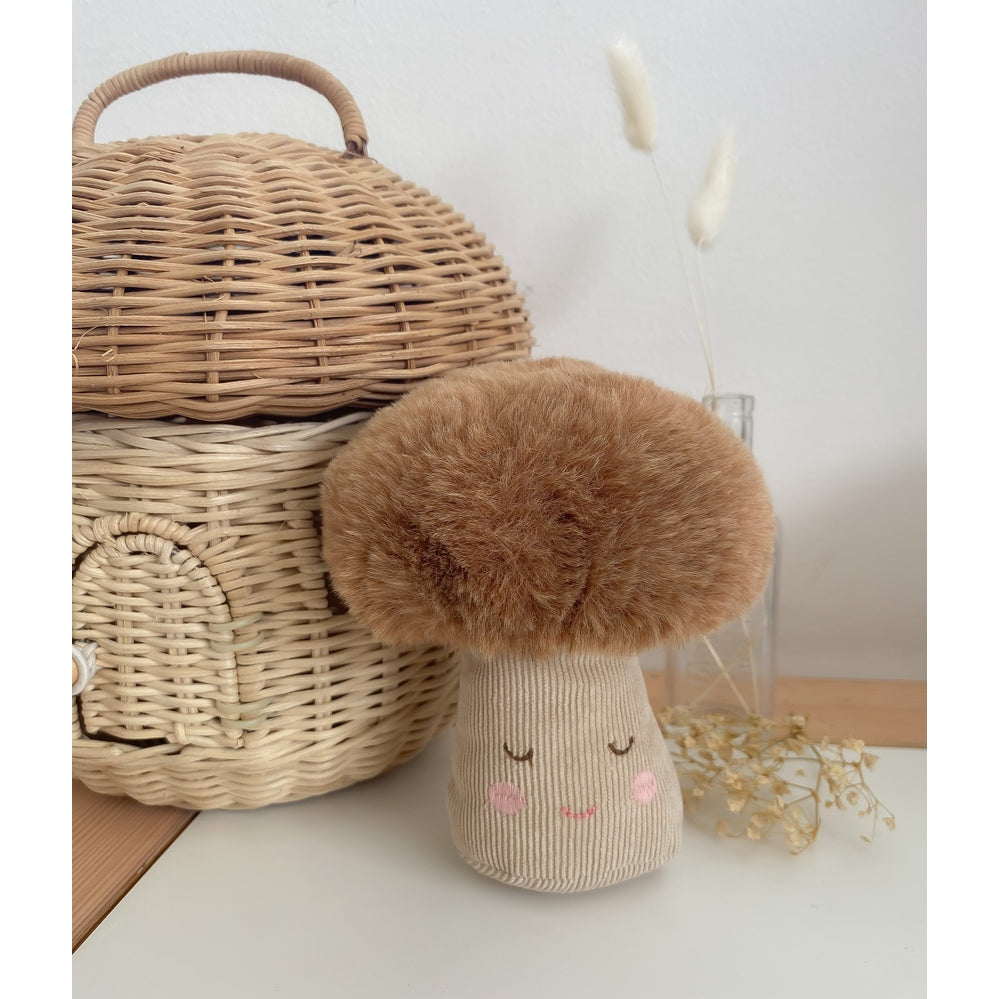 MON AMI Monsieur Mushroom