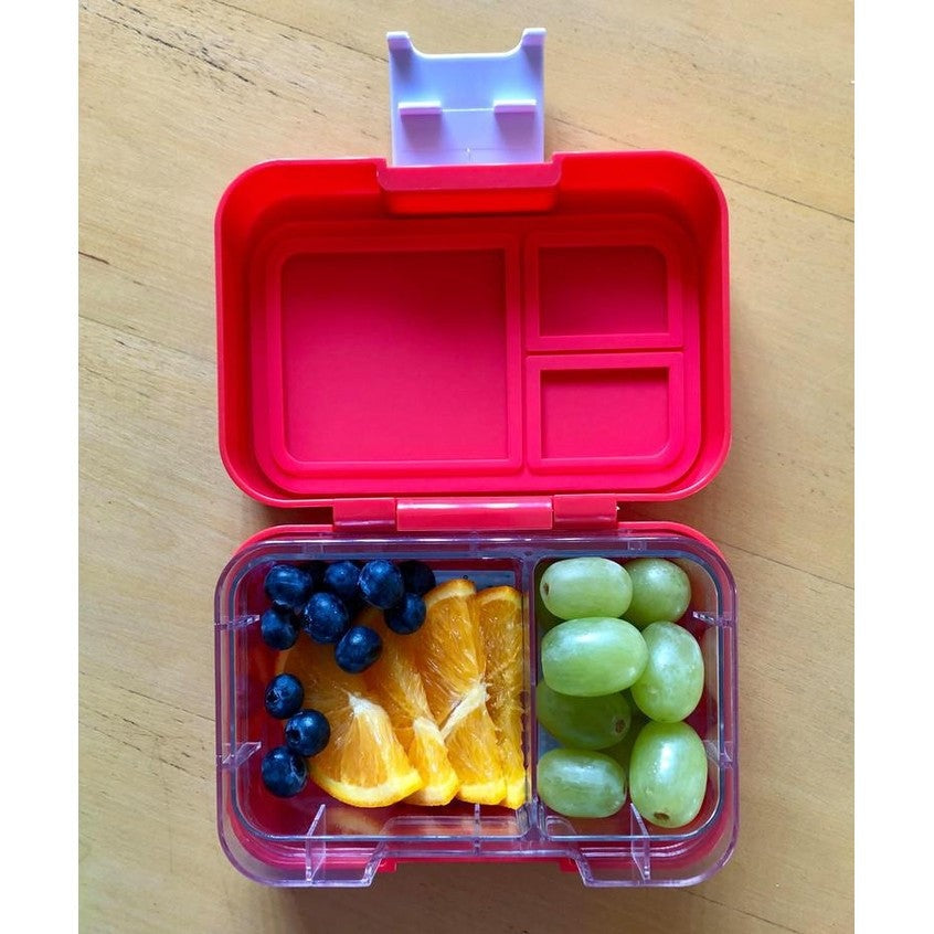 Munchbox Munchi Snack Cherry Vanilla lunch box with two compartments holding blueberries, orange slices, and green grapes