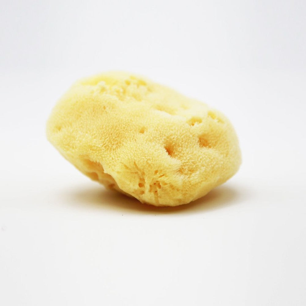 Nemibaby Premium Natural Fina facial sea sponge, yellow Kereso sponge.