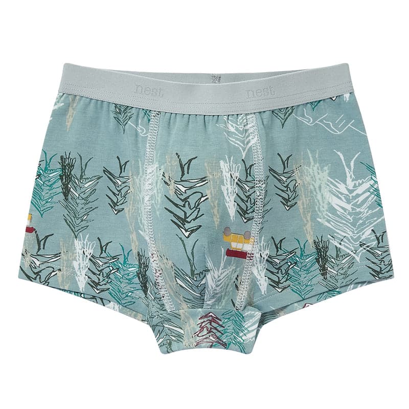 Nest Design Bamboo Boys Boxer Briefs Underwear (2 Pack) Forest Fun