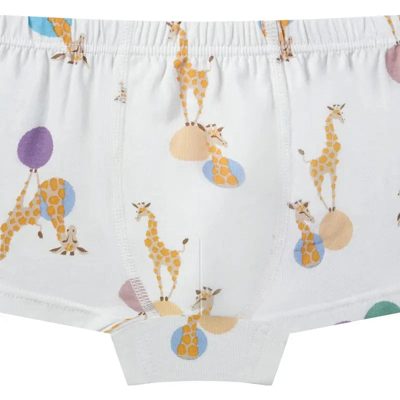 Nest Designs Bamboo Boys Boxer Briefs Underwear (2 Pack) Prairie Fun