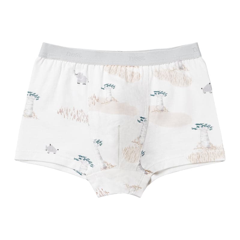 Nest Designs Bamboo Boys Boxer Briefs Underwear (2 Pack) Savanna Secrets