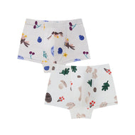 Nest Designs Bamboo Jersey Boys Boxer Briefs Underwear 2 Pack Fall Magic