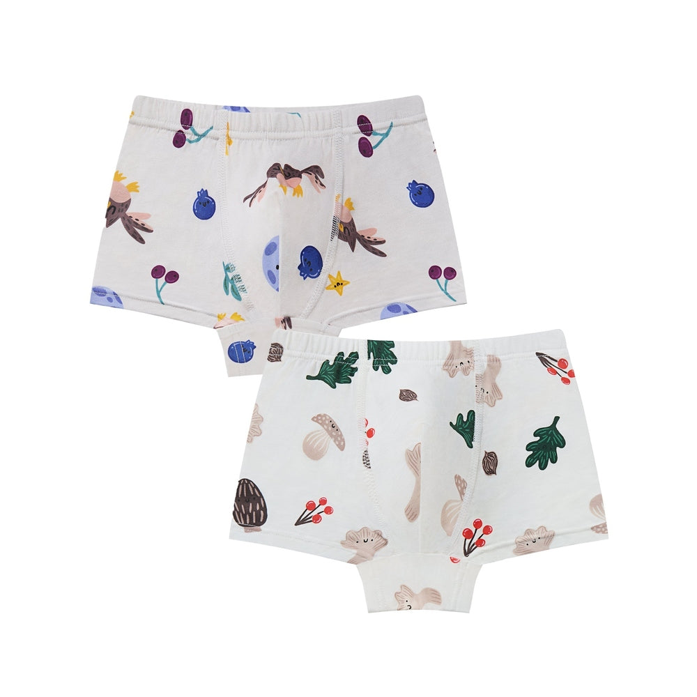 Nest Designs Bamboo Jersey Boys Boxer Briefs Underwear 2 Pack Fall Magic