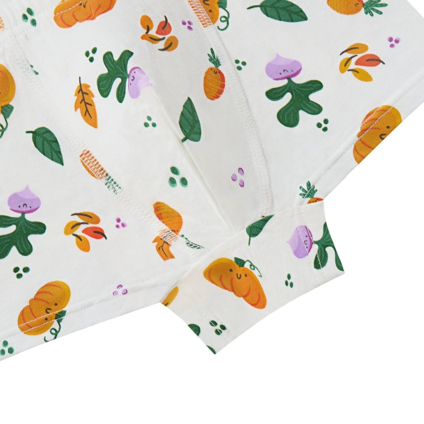 Nest Designs bamboo jersey boys boxer briefs underwear 2-pack Harvest Time with pumpkins and leaves pattern