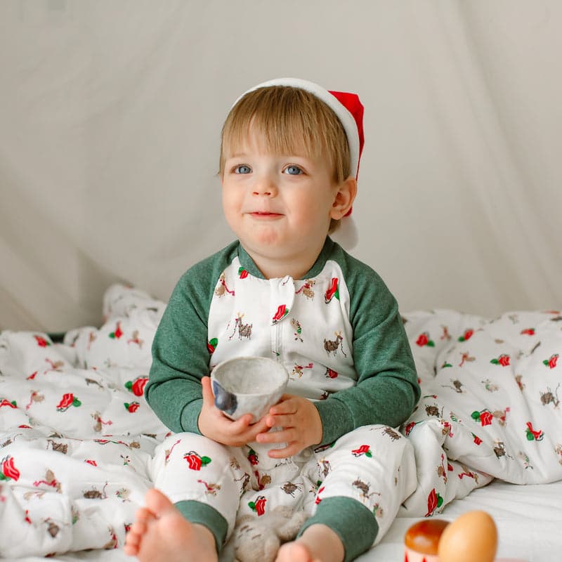 Nest Designs Bamboo Jersey Long Sleeve Footed Sleep Bag 2.5 Tog Sleigh All Day