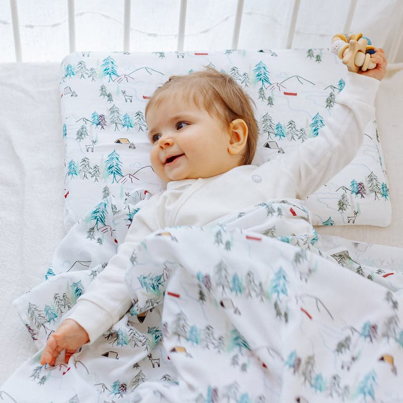 Nest Designs Bamboo Silk Toddler Pillow And Pillowcase Happy Trails