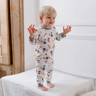 Nest Designs Organic Cotton Two-Piece Long Sleeve Pj Set On The Farm
