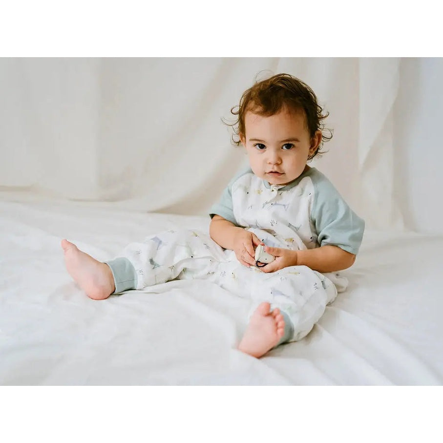 Nest Designs Raglan Bamboo Pima Short Sleeve Sleep Suit 0.6 Tog The Ant & The Grasshopper