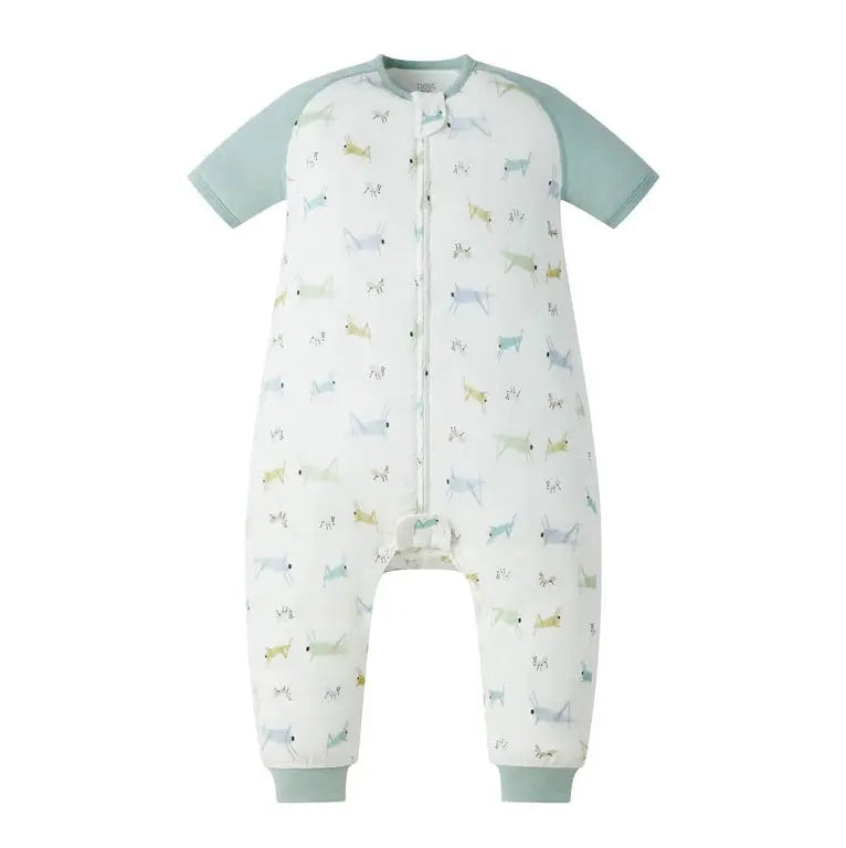 Nest Designs Raglan Bamboo Pima Sleep Suit 0.6 Tog; mint raglan sleeves, pastel ant/grasshopper print, front zip closure shown.