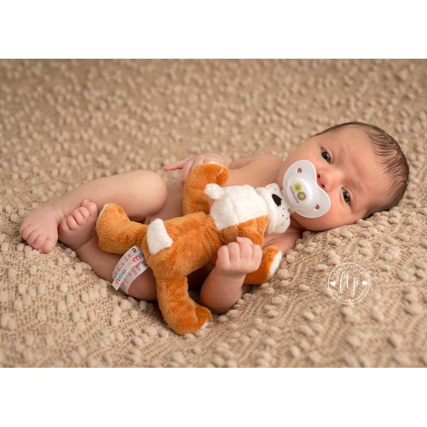 NOOKUMS Paci-Plushies Barkley Bulldog Shakies pacifier in baby's mouth while clutching an orange plush dog on beige blanket