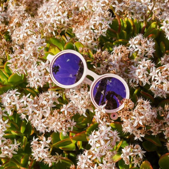 Olivio & Co round baby sunglasses, white frame with purple lenses among pink blossoms