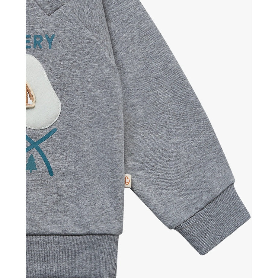 Petite Revery French Terry Raglan Sweatshirt Slate Gray