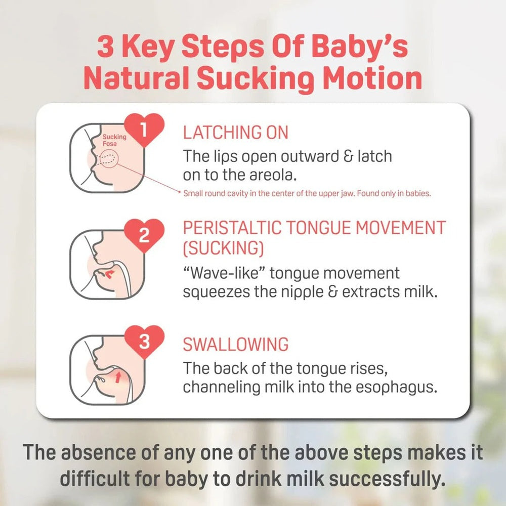 Pigeon Glass Bottle 8oz with M Nipple, 3M+, displayed in a baby feeding steps infographic teaching latching, sucking, swallowing.