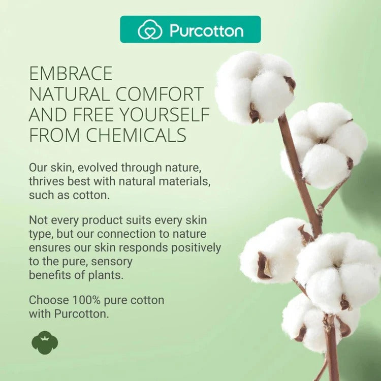 Purcotton MaxGuard Panty Liner 150mm, 20 pads, natural cotton comfort with cotton plant artwork on green background