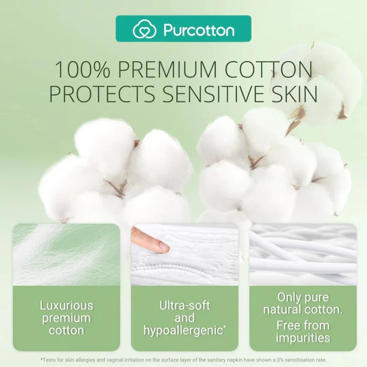 Purcotton MaxGuard Panty Liner 245mm 16Pads