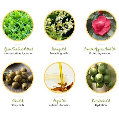 Puttisu Pangpang Nail Polish Color C16 Fall In Love with natural oil icons (green tea seed extract, maringa, camellia, olive, green, macadamia oils)