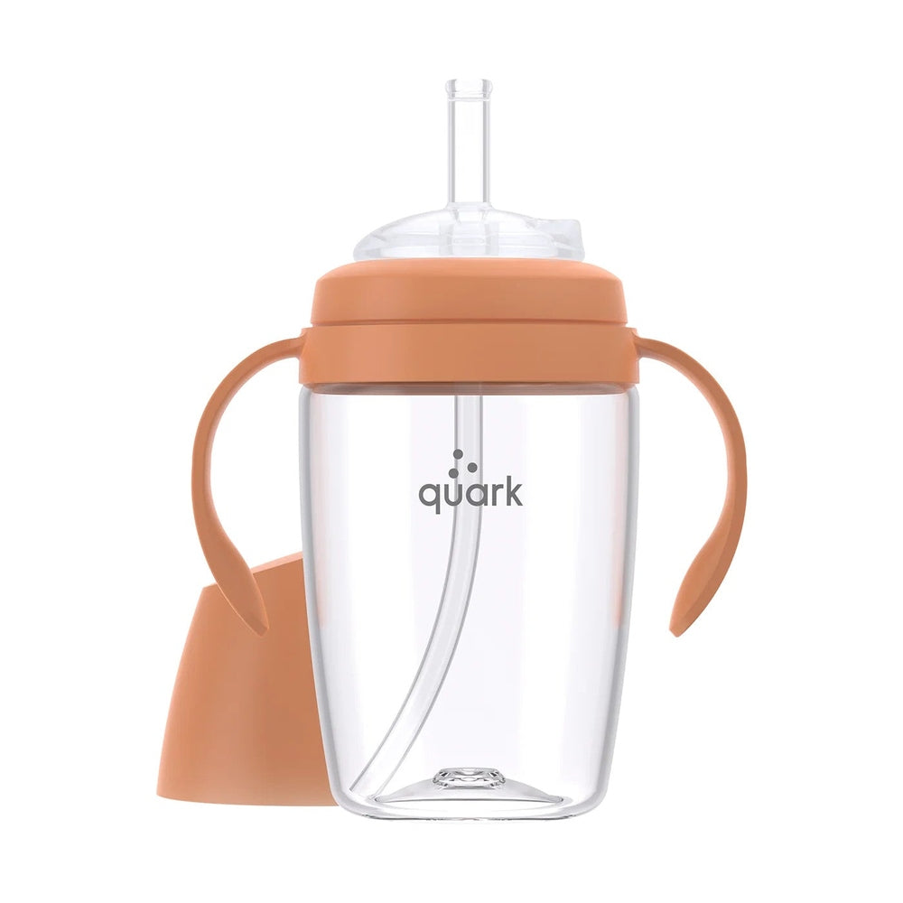 Quark Buubibottle Sippy Cup with Straw, orange lid, dual handles on clear bottle.