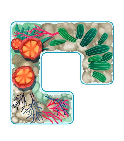 Smart Games Coral Reef official photo 3