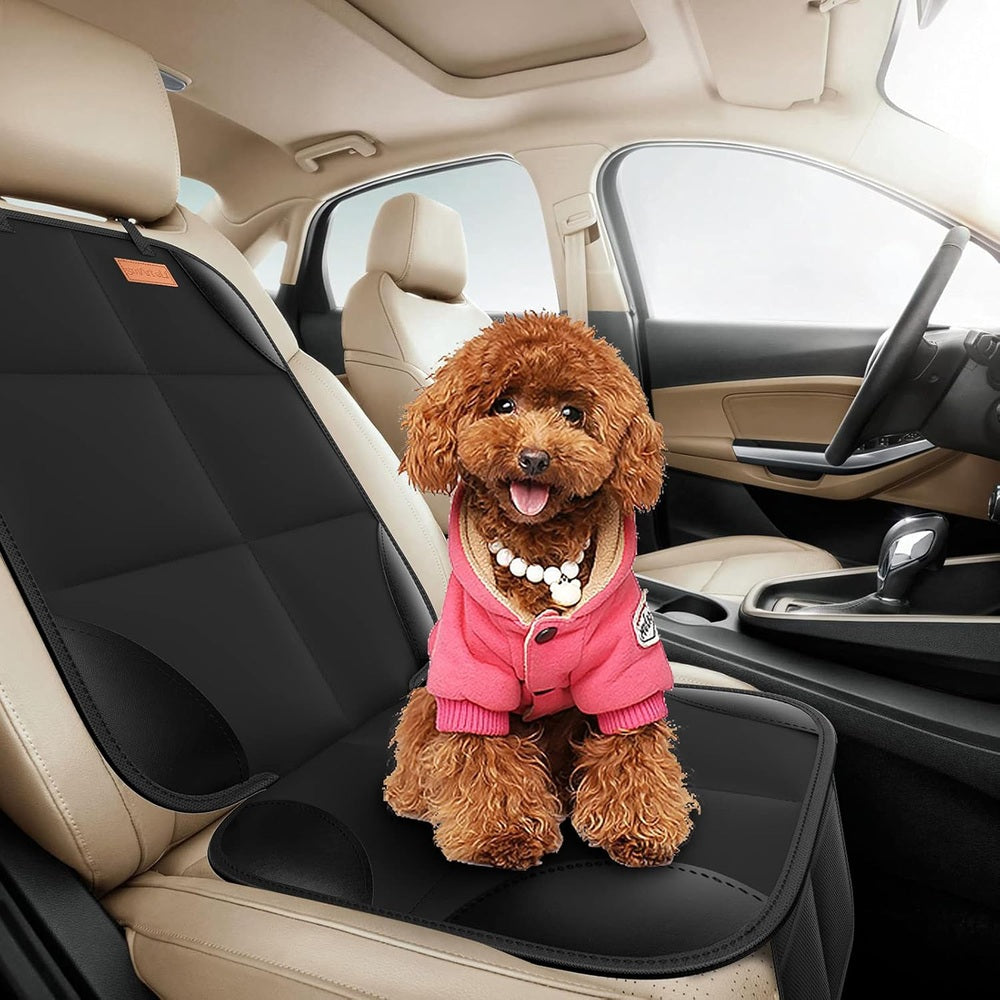 Smart Elf Car Seat Protector 2-Pack by Baby EnRoute in black, fitted on car front seat with a small dog nearby.