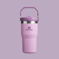 Stanley The Iceflow Flip Straw 2.0 Tumbler 20 oz