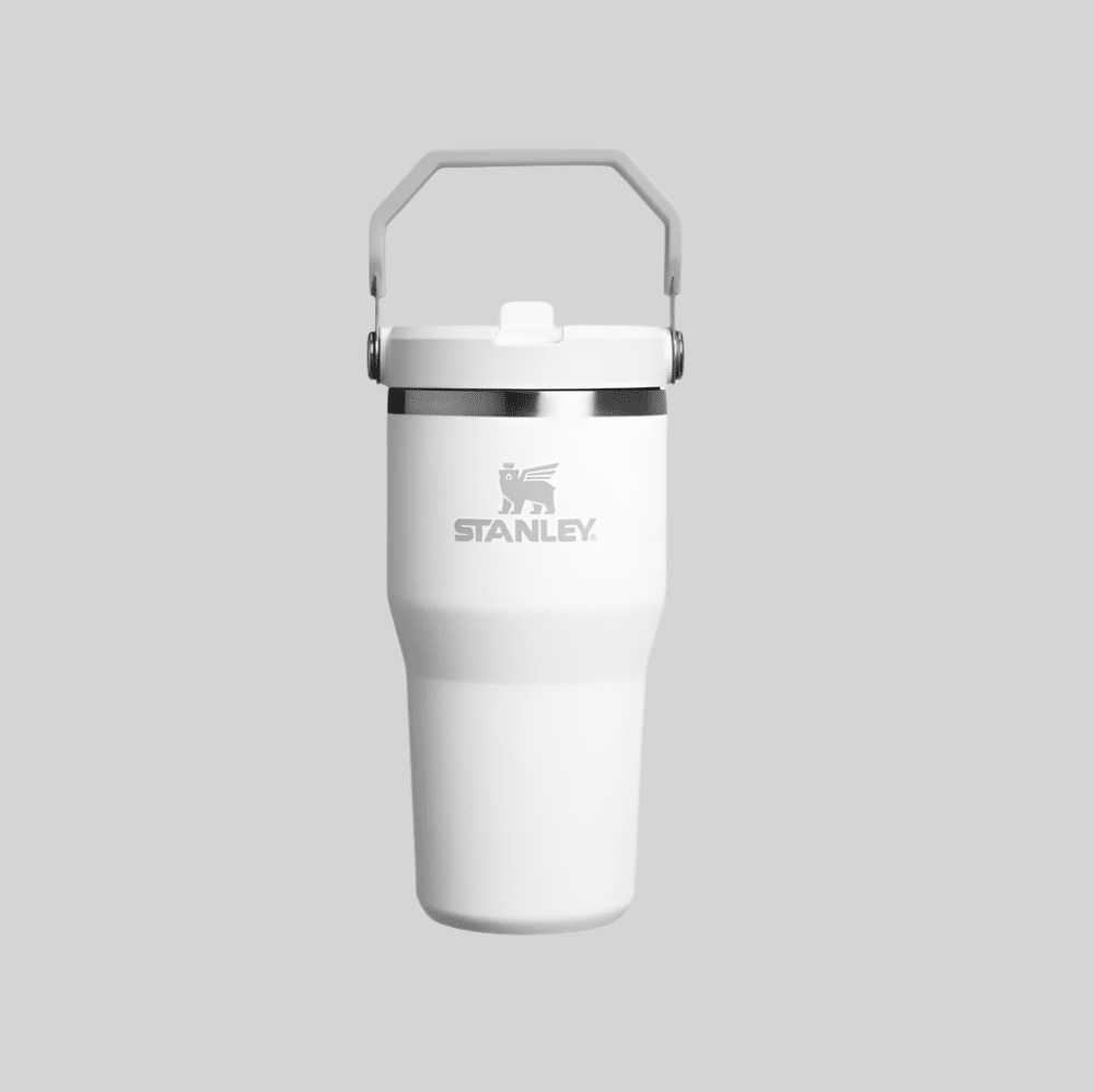 Stanley IceFlow Flip Straw 2.0 Tumbler, 20 oz, white stainless with hinged carry handle