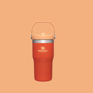 Stanley The Iceflow Flip Straw Tumbler 20 oz