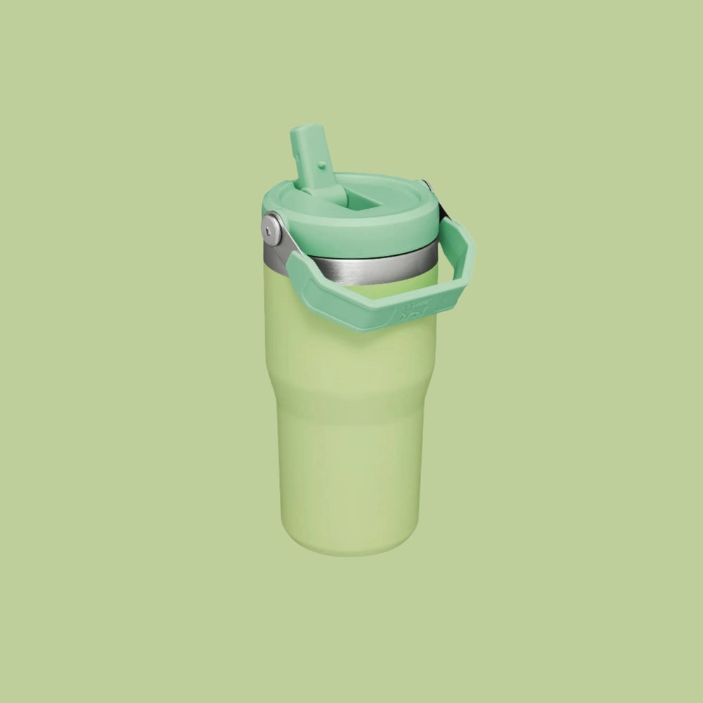 Stanley IceFlow Flip Straw Tumbler 20 oz in green with built-in carry handle