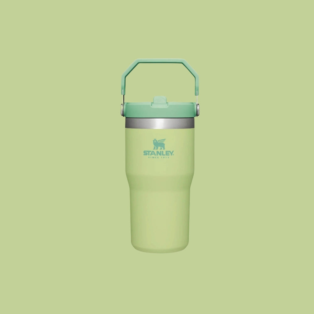 Stanley Iceflow Flip Straw Tumbler 20 oz in mint green with teal lid and handle
