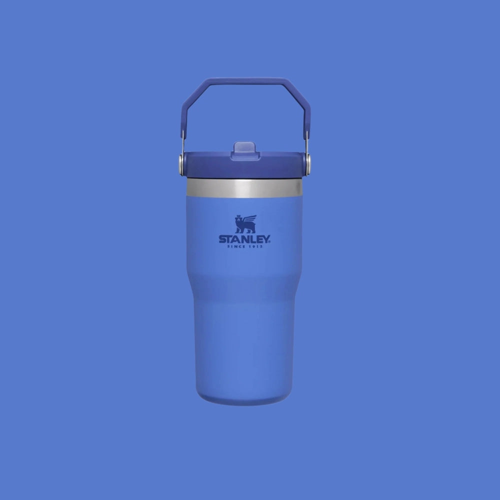 Stanley IceFlow Flip Straw Tumbler 20 oz blue stainless steel water bottle with flip lid