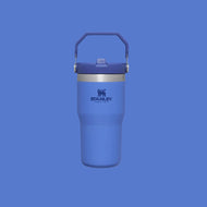 Stanley The Iceflow Flip Straw Tumbler 20 oz