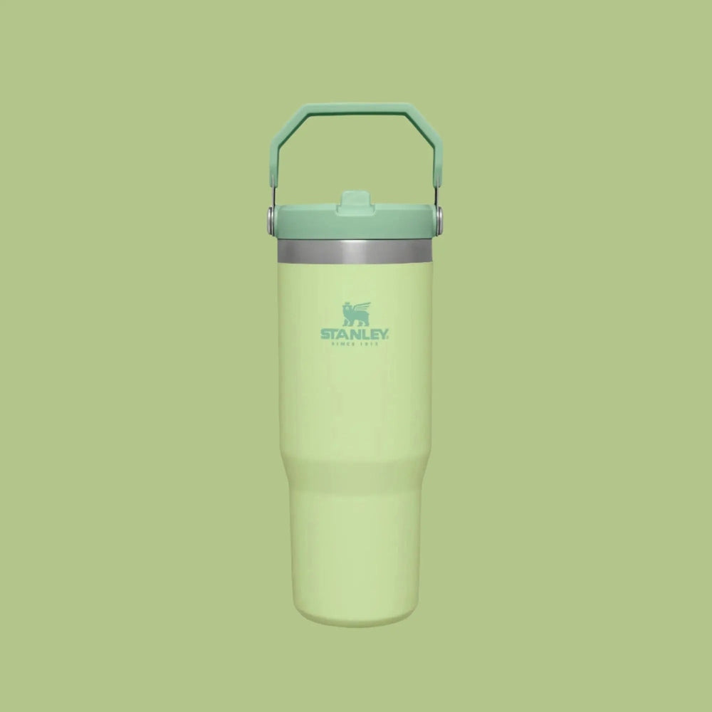 Stanley The Iceflow Flip Straw Tumbler 30 oz in lime green, with hinged handle and flip-top straw visible.