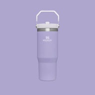Stanley The Iceflow Flip Straw Tumbler 30 oz