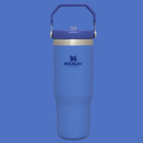 Stanley The Iceflow Flip Straw Tumbler 30 oz blue, carried by built-in handle with flip lid.