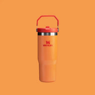 Stanley The Iceflow Flip Straw Tumbler 30 oz