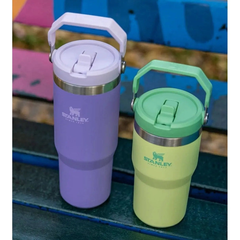 Stanley The Iceflow Flip Straw Tumbler 30 oz two-pack in lavender and lime, with hinged handles and flip lids.