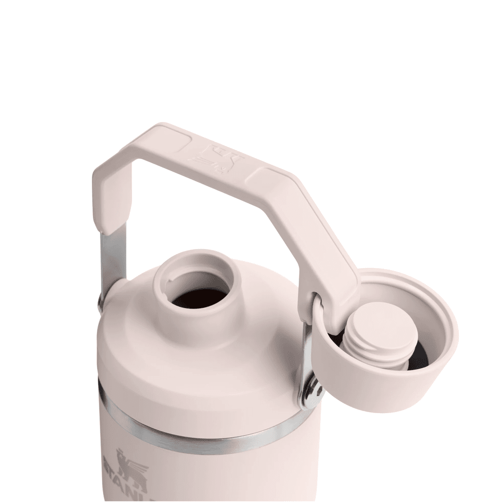 Stanley The Iceflow Tumbler With Fast Flow Lid 20 oz