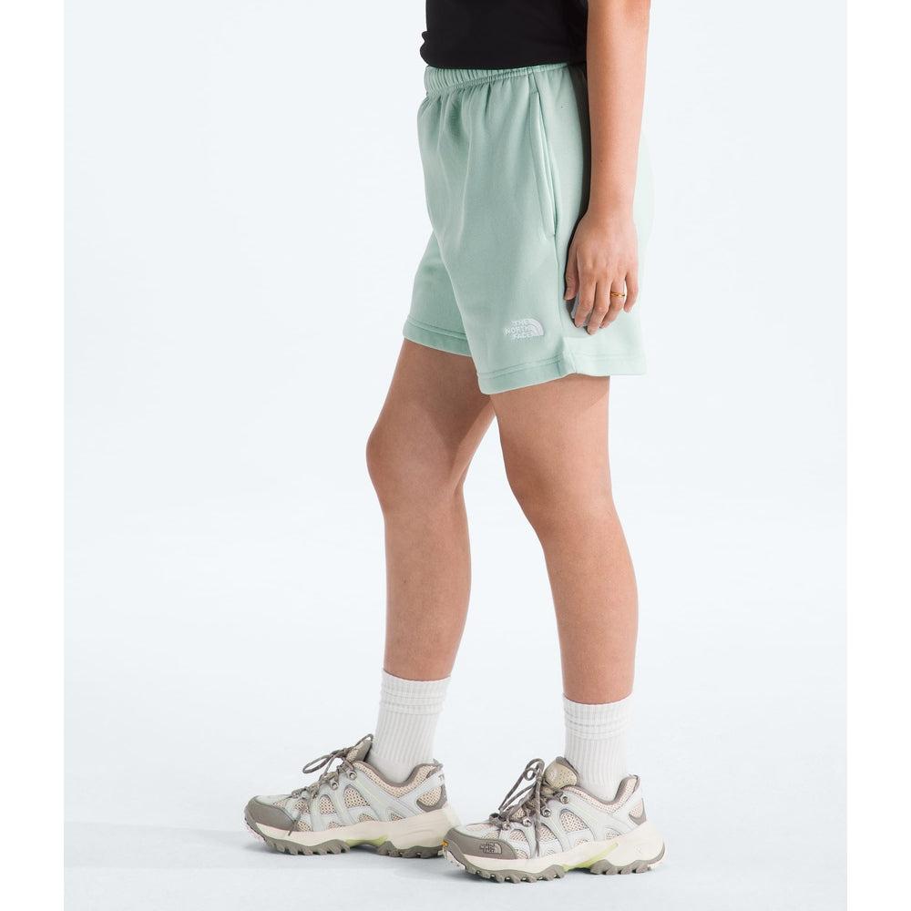 The North Face Women's Evolution Simple Dome Regular Shorts Opal Frost