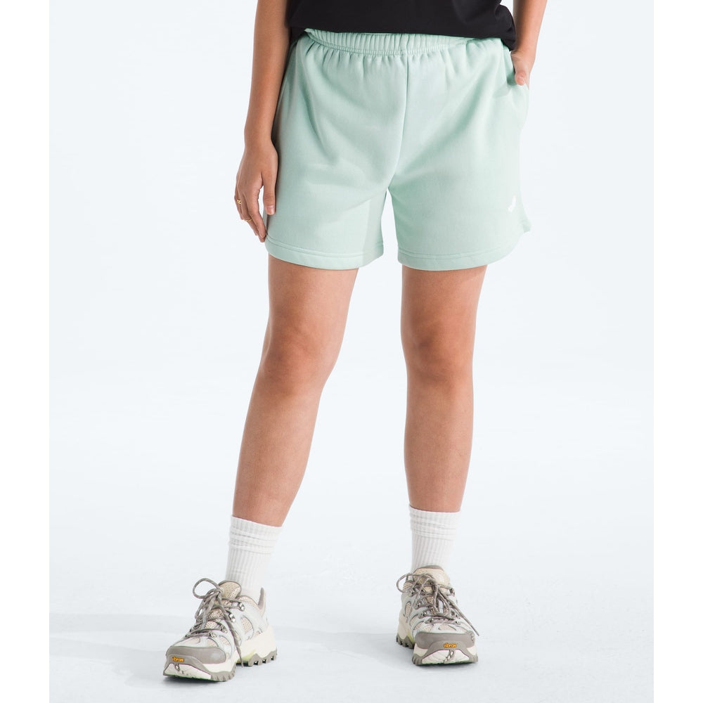 The North Face Women's Evolution Simple Dome Regular Shorts Opal Frost front view