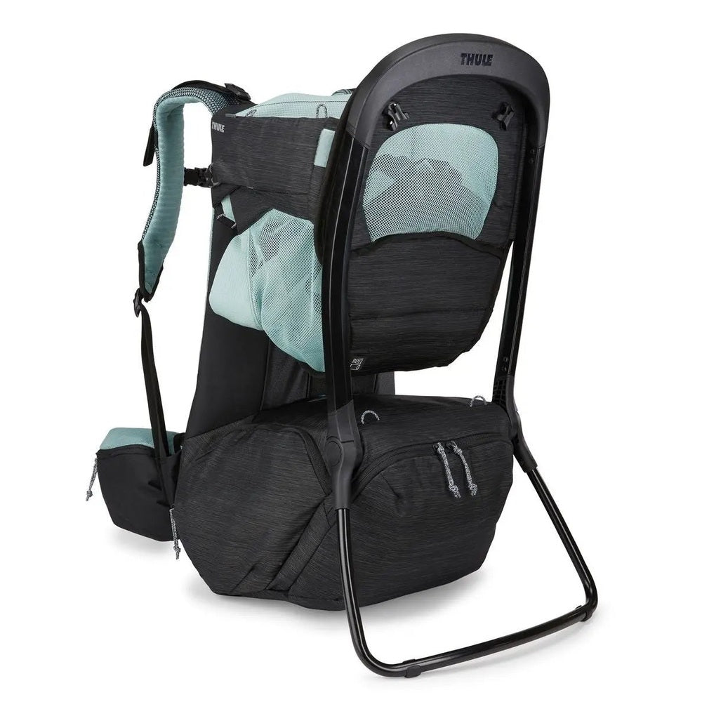 Thule Sapling Child Carrier