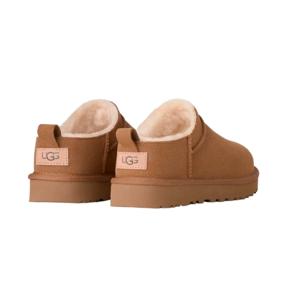 UGG Women's Classic Micro Chestnut slippers in tan suede with cream shearling lining, back view showing logo tag