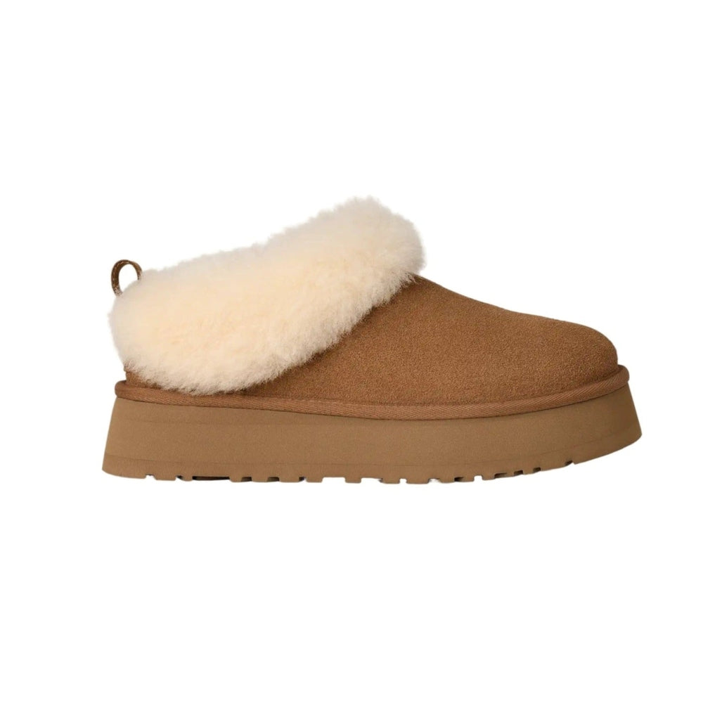 UGG Women's Tazzelle Chestnut slipper with white shearling cuff, brown suede, slip-on cozy comfort.