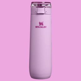 Stanley The Flowstate Spring Bottle 20 oz