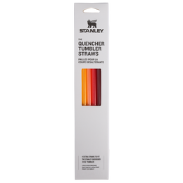 Stanley 30 oz Quencher Straw Replacement 4pk